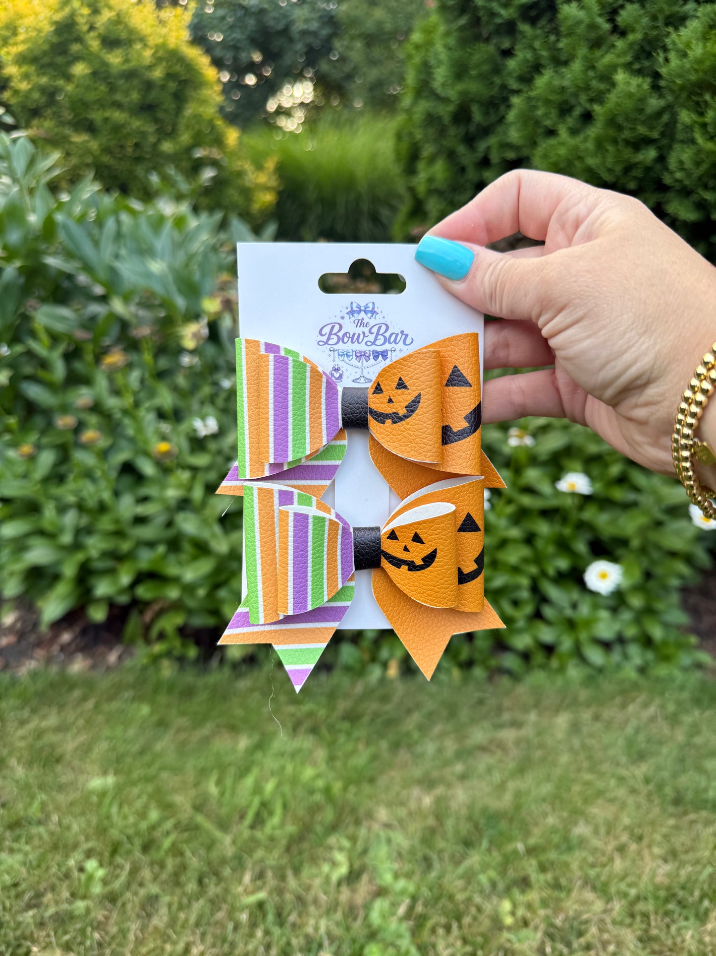 Pumpkin Patch